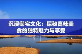 沉浸御宅文化：探秘高辣美食的独特魅力与享受