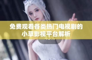 免费观看各类热门电视剧的小草影视平台解析