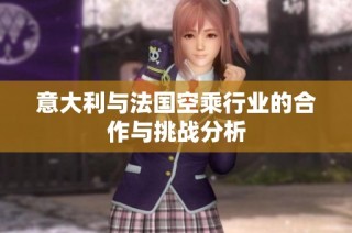 意大利与法国空乘行业的合作与挑战分析