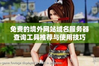 免费的境外网站域名服务器查询工具推荐与使用技巧
