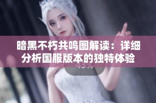 暗黑不朽共鸣图解读：详细分析国服版本的独特体验