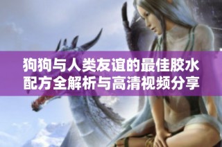 狗狗与人类友谊的最佳胶水配方全解析与高清视频分享