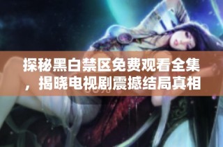 探秘黑白禁区免费观看全集，揭晓电视剧震撼结局真相