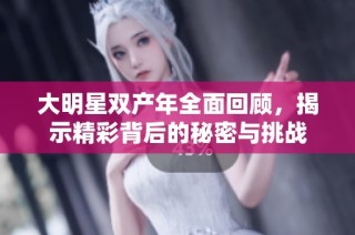大明星双产年全面回顾，揭示精彩背后的秘密与挑战