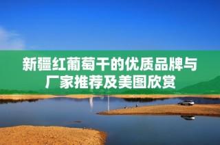 新疆红葡萄干的优质品牌与厂家推荐及美图欣赏