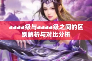 aaaa级与aaaa级之间的区别解析与对比分析