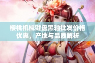 樱桃机械键盘黑轴批发价格优惠，产地与品质解析
