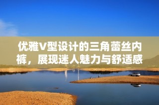 优雅V型设计的三角蕾丝内裤，展现迷人魅力与舒适感
