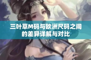 三叶草M码与欧洲尺码之间的差异详解与对比