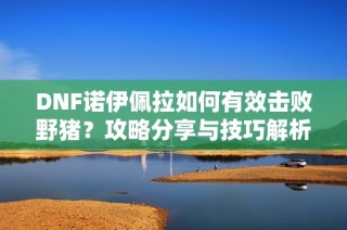 DNF诺伊佩拉如何有效击败野猪？攻略分享与技巧解析