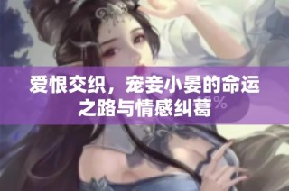 爱恨交织，宠妾小晏的命运之路与情感纠葛