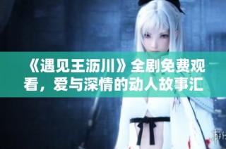 《遇见王沥川》全剧免费观看，爱与深情的动人故事汇集