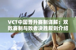 VCT中国晋升赛制详解：双败赛制与败者决胜规则介绍
