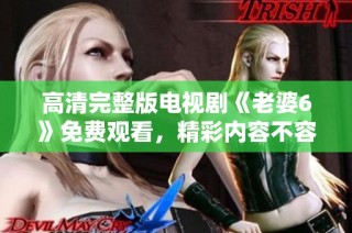 高清完整版电视剧《老婆6》免费观看，精彩内容不容错过