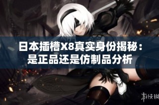 日本插槽X8真实身份揭秘：是正品还是仿制品分析