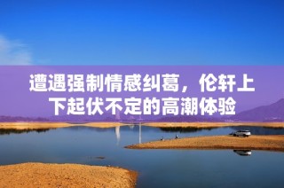 遭遇强制情感纠葛，伦轩上下起伏不定的高潮体验