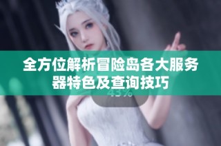 全方位解析冒险岛各大服务器特色及查询技巧