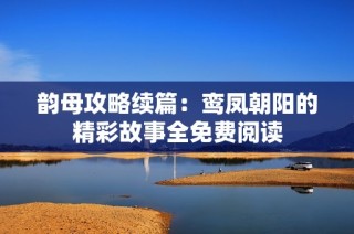 韵母攻略续篇：鸾凤朝阳的精彩故事全免费阅读