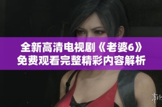 全新高清电视剧《老婆6》免费观看完整精彩内容解析