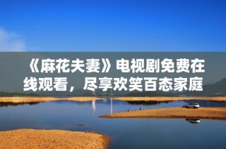 《麻花夫妻》电视剧免费在线观看，尽享欢笑百态家庭生活