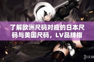 了解欧洲尺码对应的日本尺码与美国尺码，LV品牌指南解析