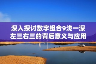 深入探讨数字组合9浅一深左三右三的背后意义与应用