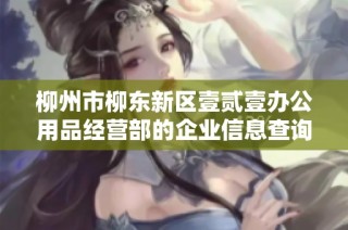 柳州市柳东新区壹贰壹办公用品经营部的企业信息查询与解析