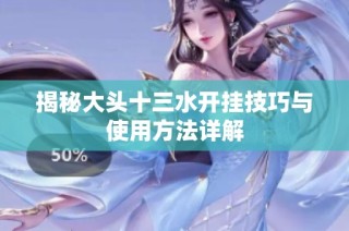 揭秘大头十三水开挂技巧与使用方法详解