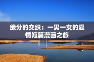 缘分的交织：一男一女的爱情短篇漫画之旅
