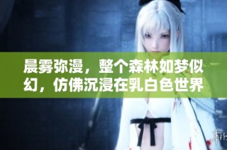 晨雾弥漫，整个森林如梦似幻，仿佛沉浸在乳白色世界中