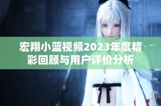 宏翔小蓝视频2023年度精彩回顾与用户评价分析