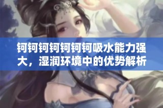 钶钶钶钶钶钶钶吸水能力强大，湿润环境中的优势解析
