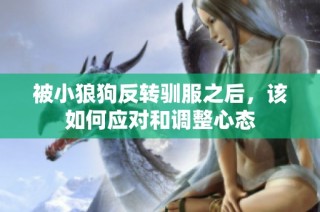 被小狼狗反转驯服之后，该如何应对和调整心态