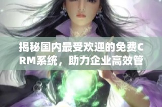 揭秘国内最受欢迎的免费CRM系统，助力企业高效管理客户关系