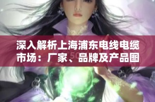 深入解析上海浦东电线电缆市场：厂家、品牌及产品图片全览