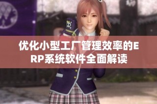 优化小型工厂管理效率的ERP系统软件全面解读