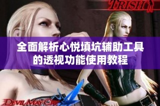 全面解析心悦填坑辅助工具的透视功能使用教程
