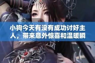 小狗今天有没有成功讨好主人，带来意外惊喜和温暖瞬间