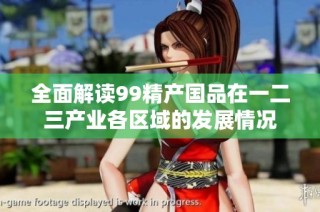 全面解读99精产国品在一二三产业各区域的发展情况