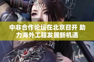 中非合作论坛在北京召开 助力海外工程发展新机遇