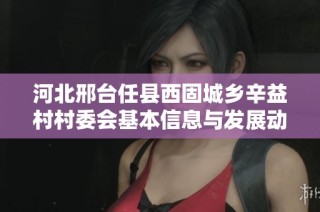 河北邢台任县西固城乡辛益村村委会基本信息与发展动态分析