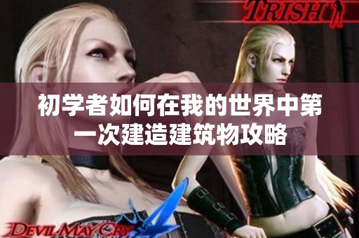 初学者如何在我的世界中第一次建造建筑物攻略