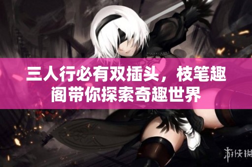 三人行必有双插头，枝笔趣阁带你探索奇趣世界