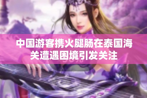 中国游客携火腿肠在泰国海关遭遇困境引发关注