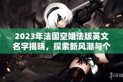 2023年法国空姐法版英文名字揭晓，探索新风潮与个性化选择