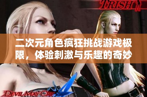 二次元角色疯狂挑战游戏极限，体验刺激与乐趣的奇妙之旅