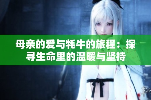 母亲的爱与牦牛的旅程：探寻生命里的温暖与坚持