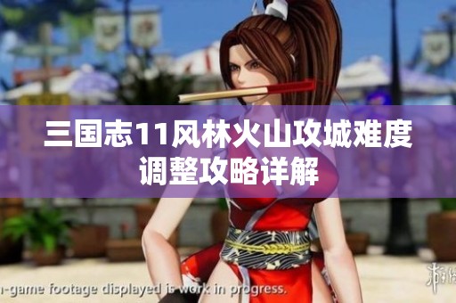 三国志11风林火山攻城难度调整攻略详解
