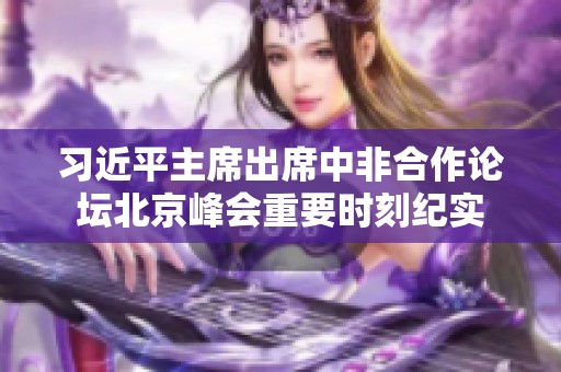 习近平主席出席中非合作论坛北京峰会重要时刻纪实