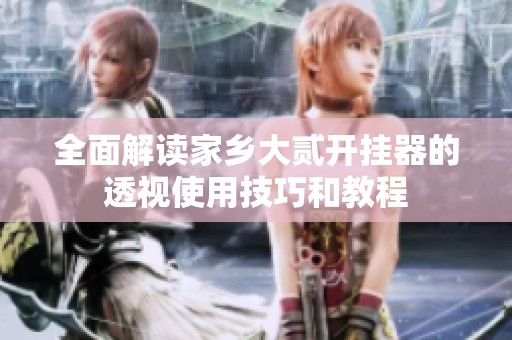 全面解读家乡大贰开挂器的透视使用技巧和教程
